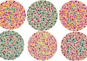 Polispecialistico Maragliano - dott. Sergio Petroni - Daltonismo